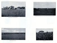Harvesting Scene, Minnetonka Ranch, Cattle Scene, Corn Field